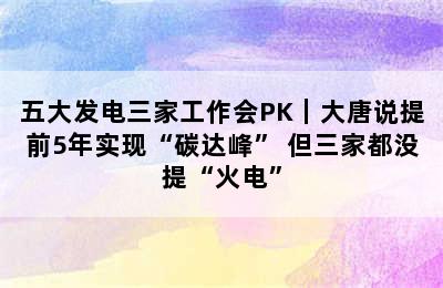 五大发电三家工作会PK｜大唐说提前5年实现“碳达峰” 但三家都没提“火电”